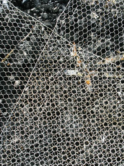 Chicken wire