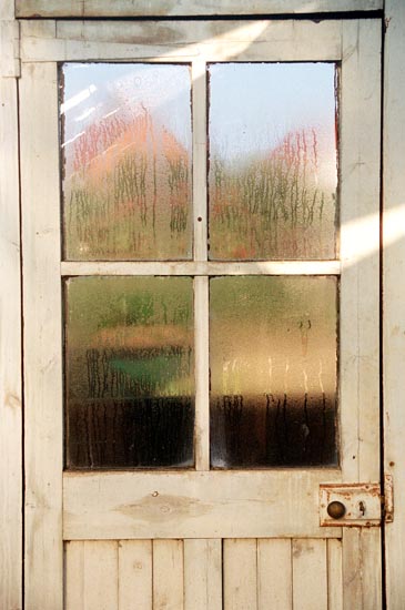 The Greenhouse Door