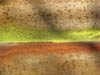 landscape2