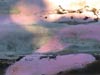 landscape4