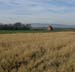 Evesham Barn