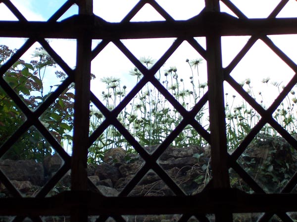 The Old Hall