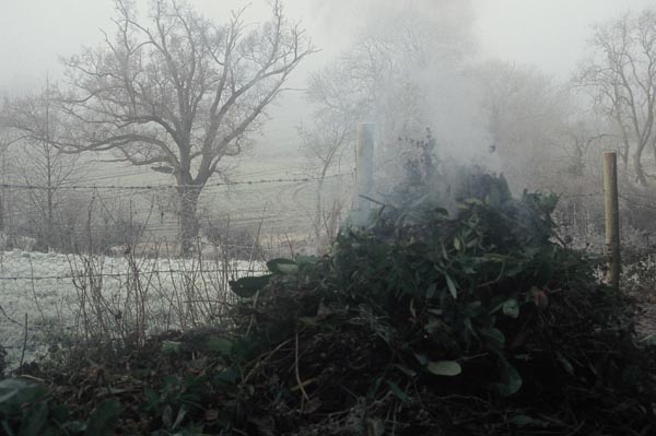 Winter Bonfire