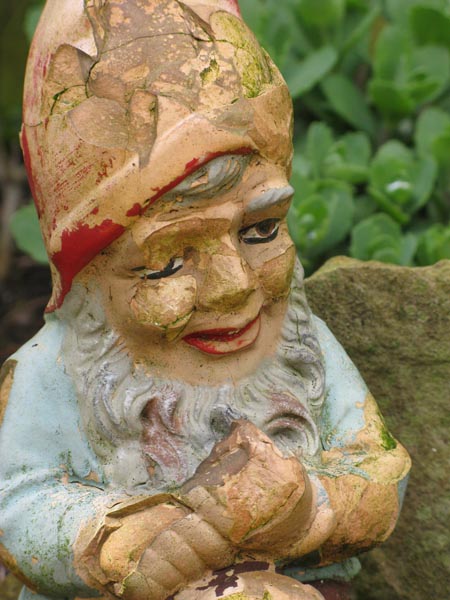 gnome