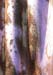 Corrugated Iron- close up 1